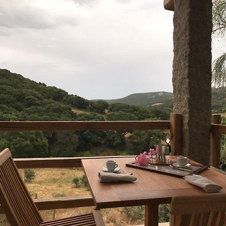 La Puntaccina Villa Aglientu Esterno foto