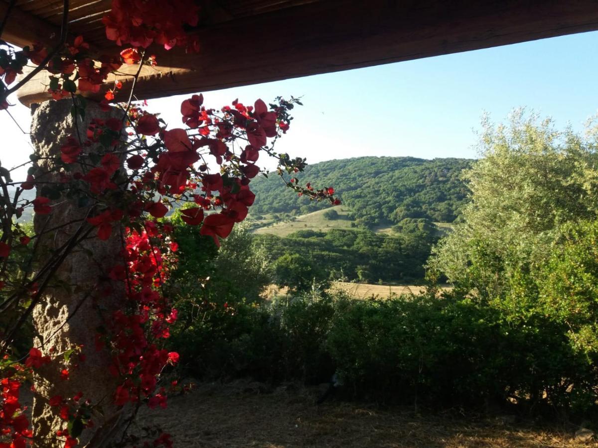 La Puntaccina Villa Aglientu Esterno foto