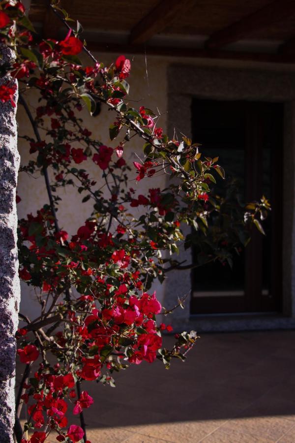 La Puntaccina Villa Aglientu Esterno foto