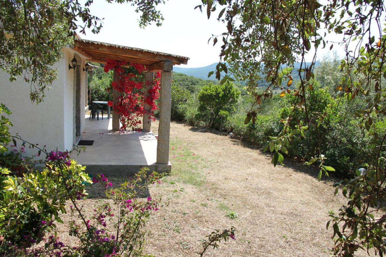 La Puntaccina Villa Aglientu Esterno foto