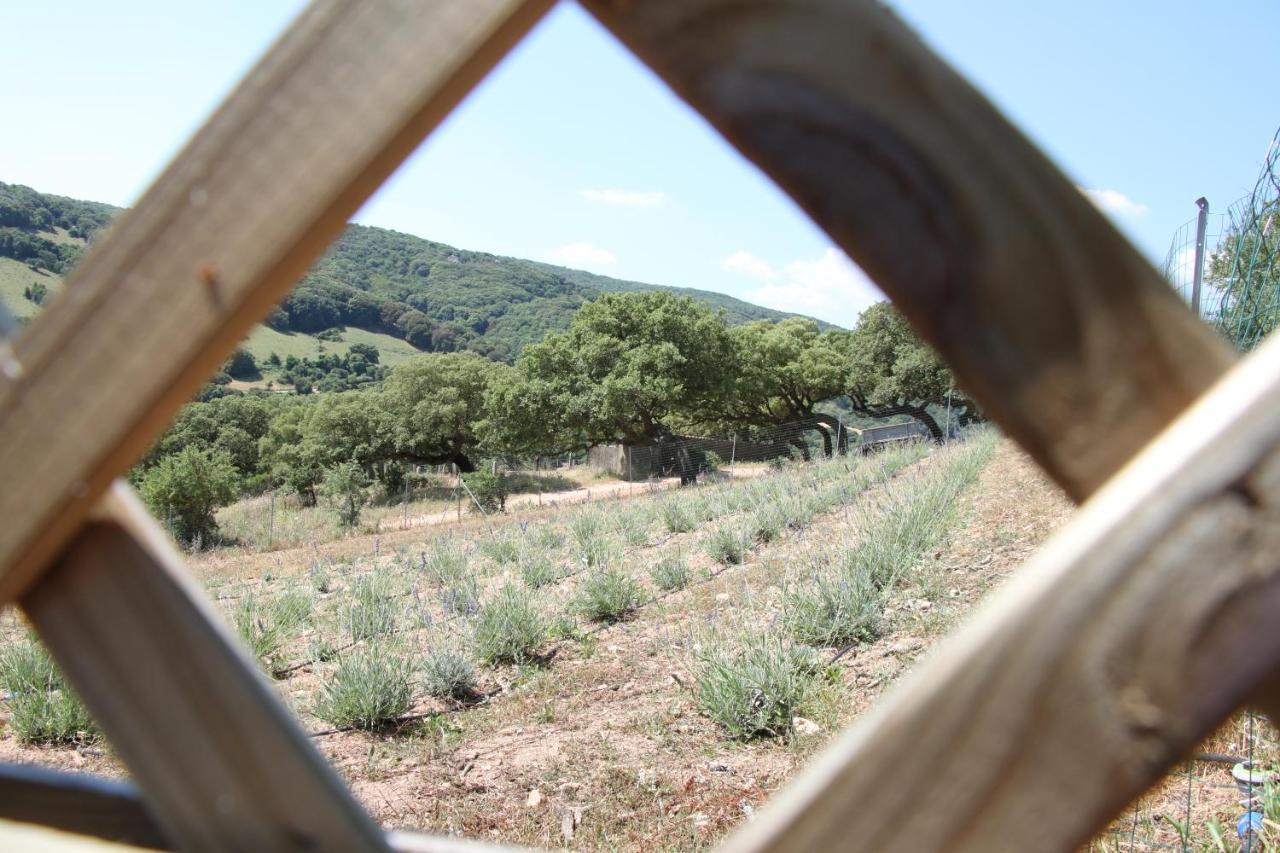 La Puntaccina Villa Aglientu Esterno foto