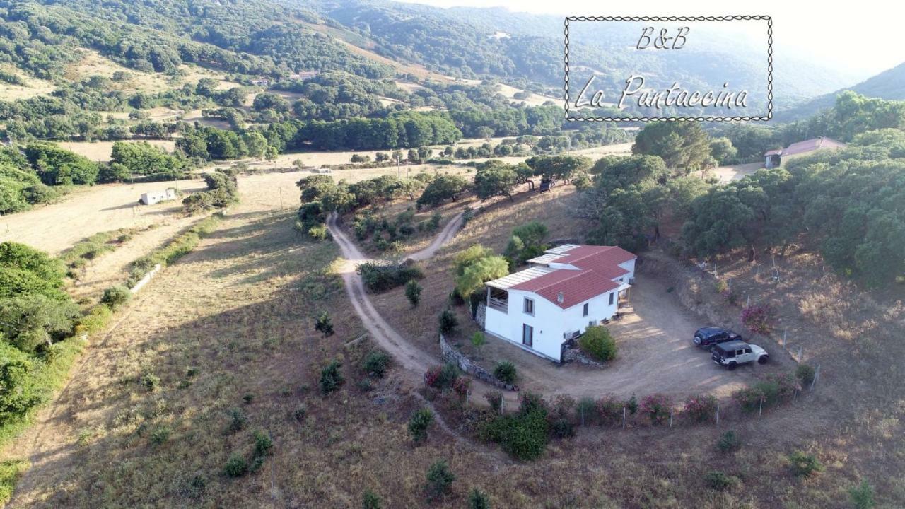 La Puntaccina Villa Aglientu Esterno foto